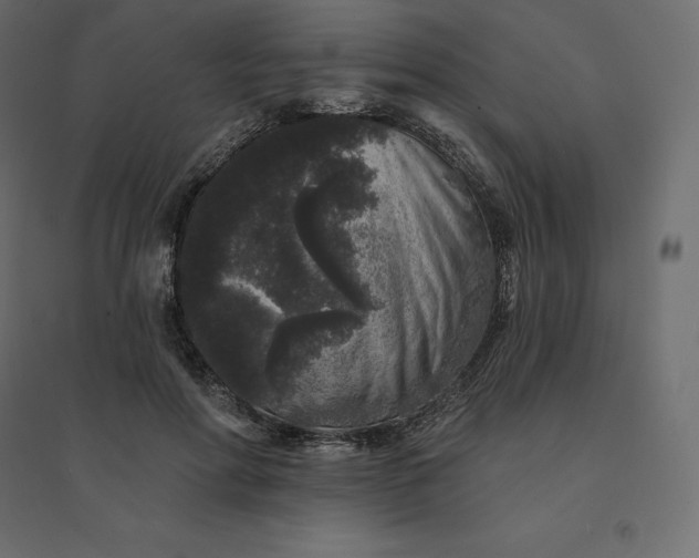 X0000094440598200711211457