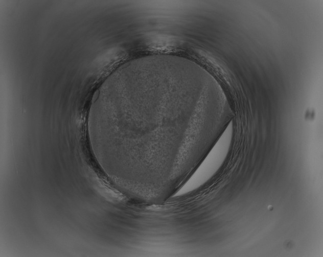 X0000094440601200711211457