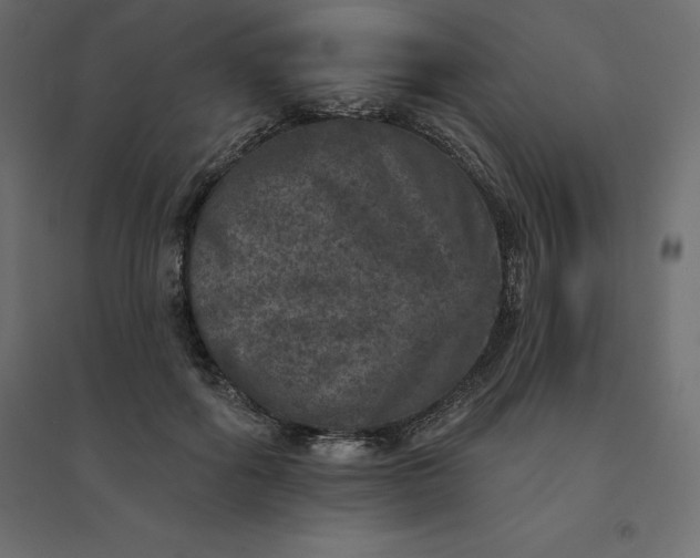 X0000094440602200711211457