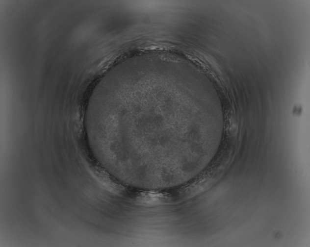 X0000094440607200711211457