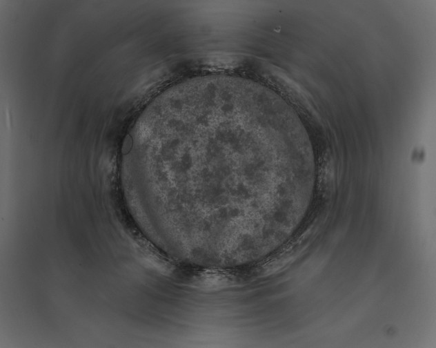 X0000094440608200711211457