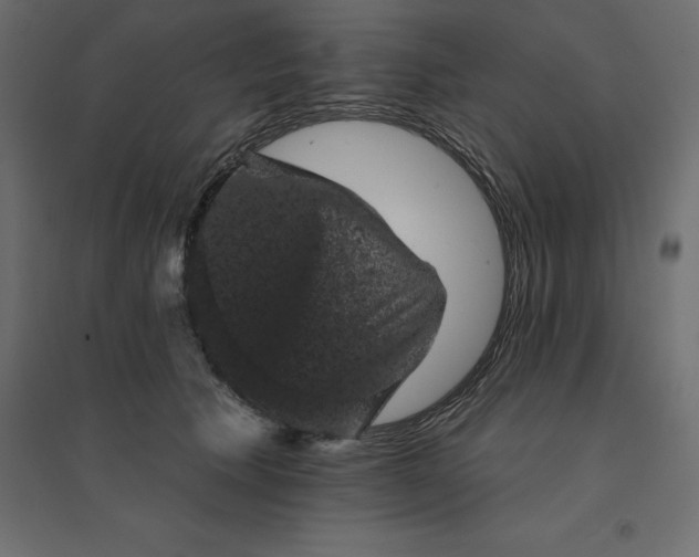 X0000094440609200711211457