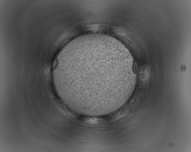 X0000094440611200711211457