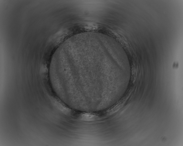 X0000094440614200711211457