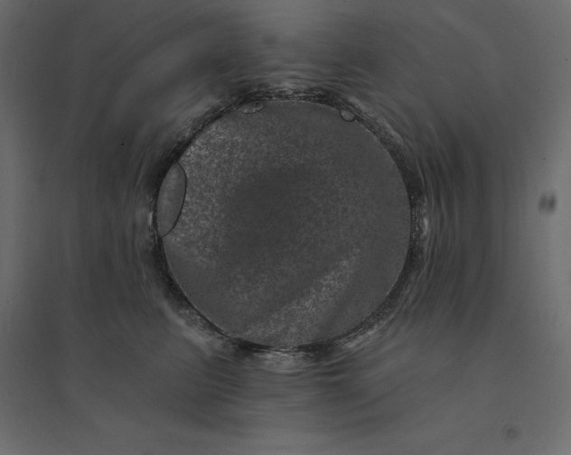 X0000094440615200711211457