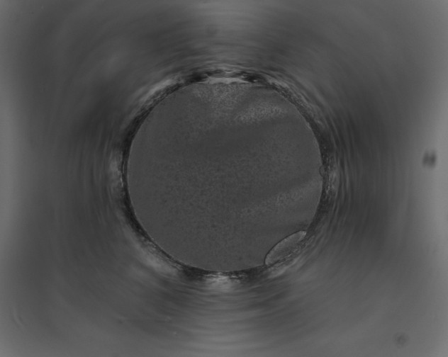 X0000094440616200711211457