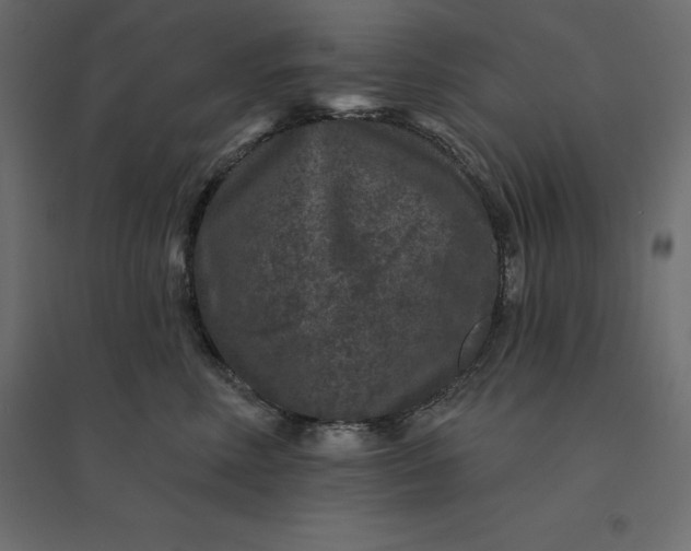 X0000094440618200711211457