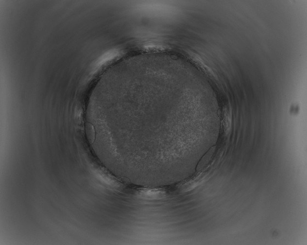 X0000094440619200711211457