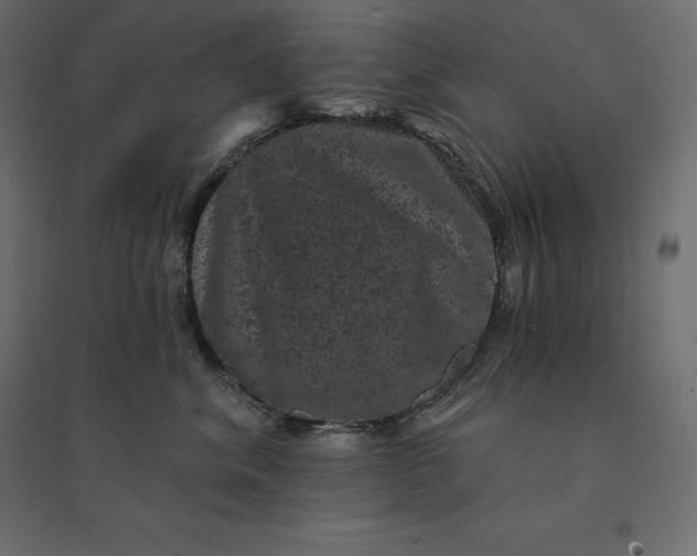 X0000094440620200711211457