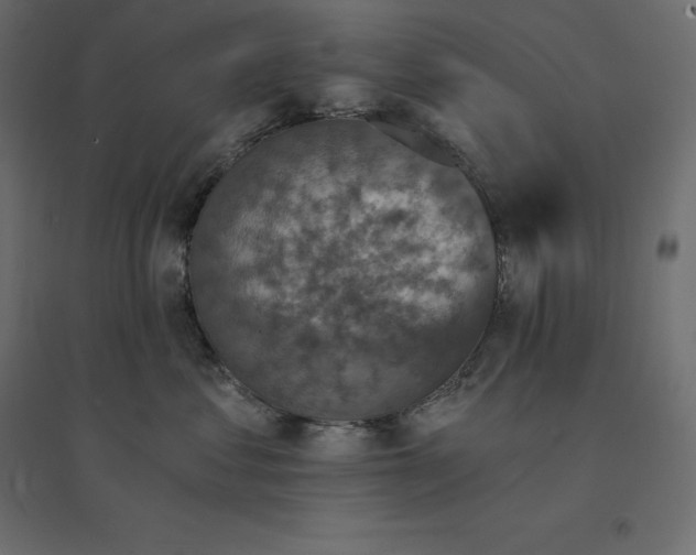 X0000094440621200711211457