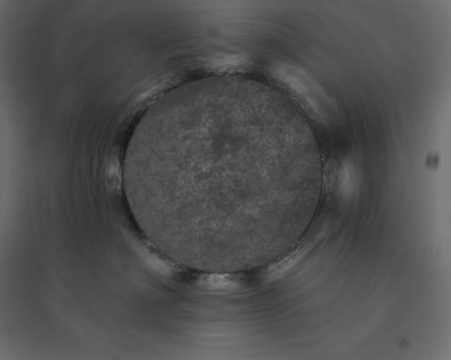 X0000094440622200711211457