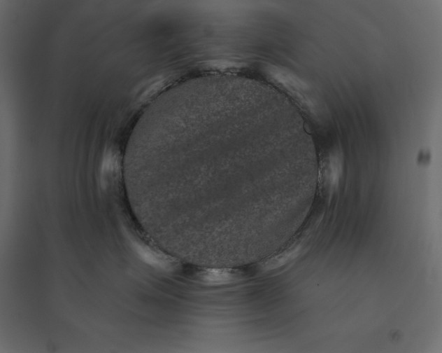 X0000094440623200711211457