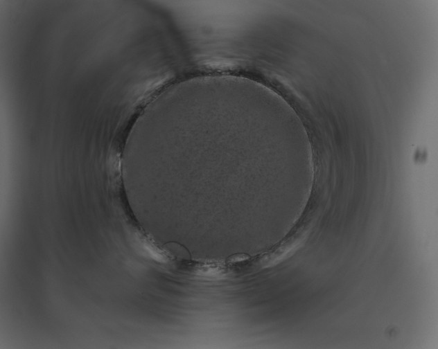 X0000094440624200711211457