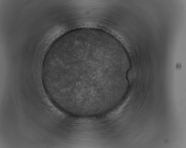 X0000094440625200711211456