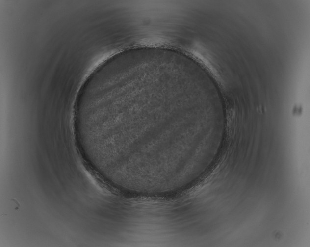 X0000094440626200711211456