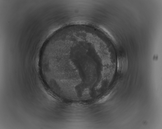 X0000094440627200711211456