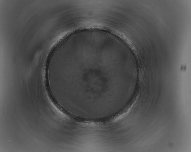 X0000094440629200711211456