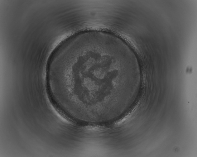 X0000094440630200711211456