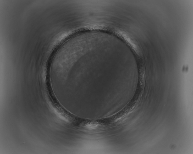 X0000094440631200711211457