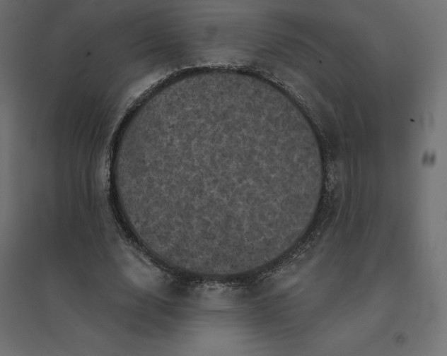 X0000094440632200711211457