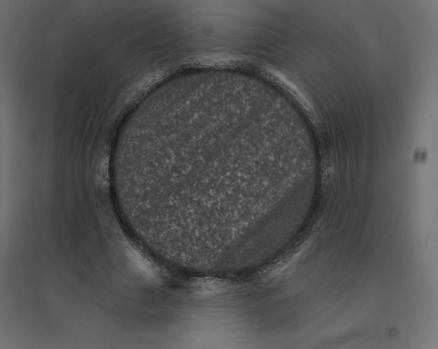 X0000094440633200711211457