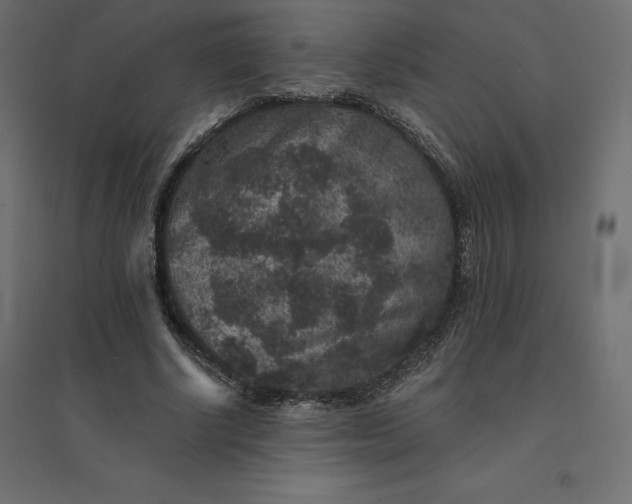 X0000094440634200711211457