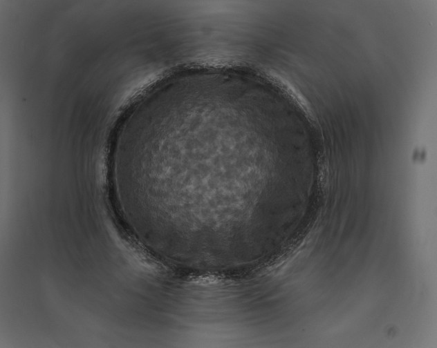 X0000094440635200711211457