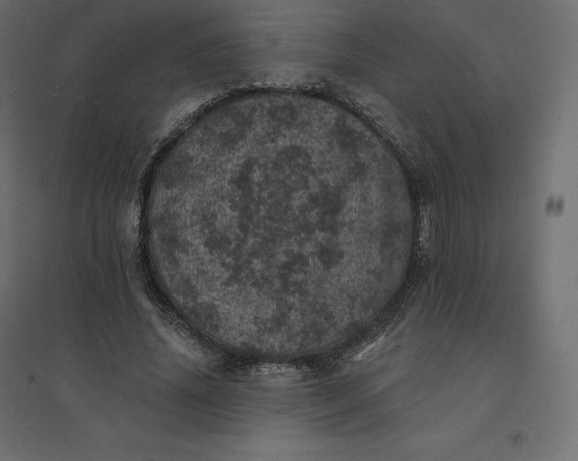 X0000094440636200711211457