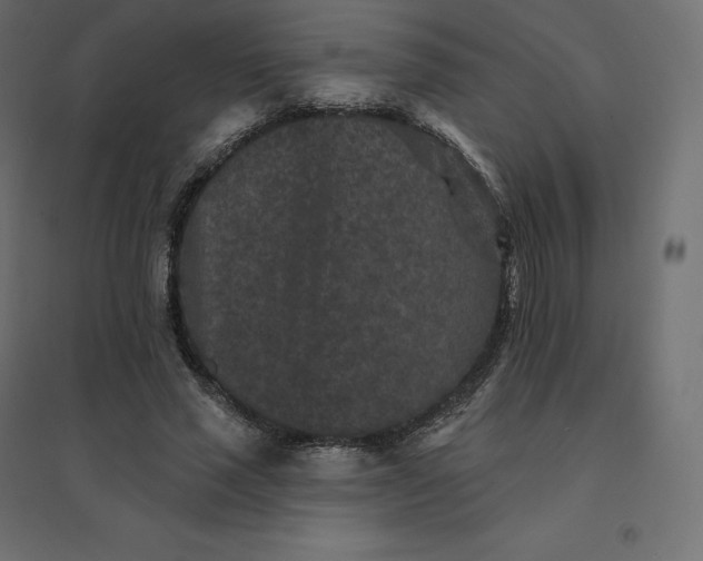 X0000094440637200711211457