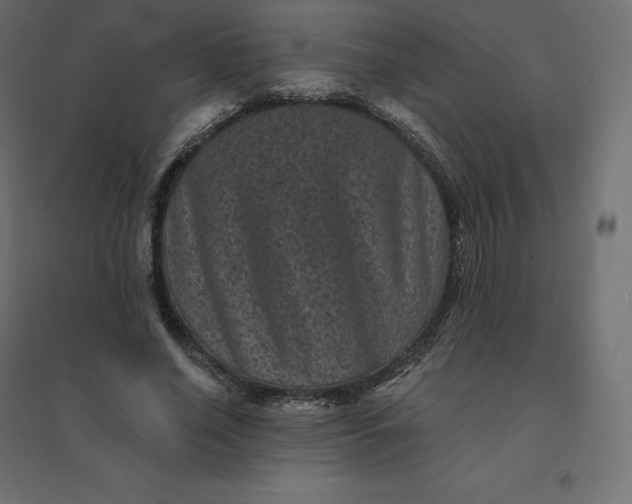 X0000094440638200711211457