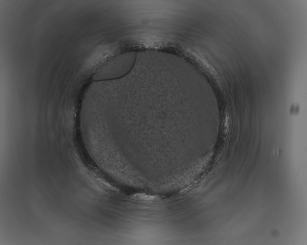 X0000094440639200711211457