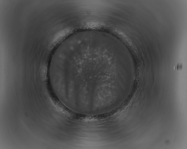 X0000094440640200711211457