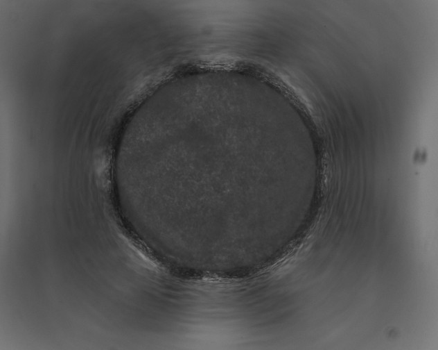 X0000094440641200711211457