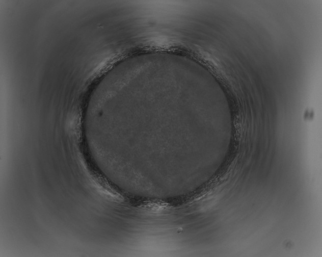 X0000094440642200711211457