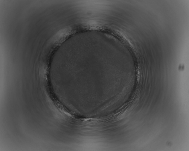 X0000094440643200711211457