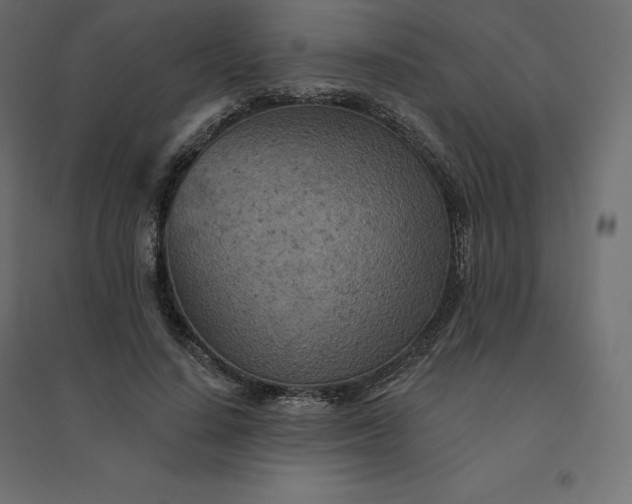 X0000094440644200711211457