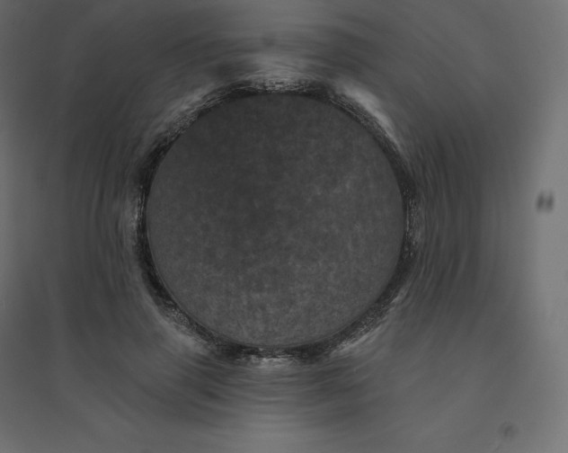 X0000094440645200711211457