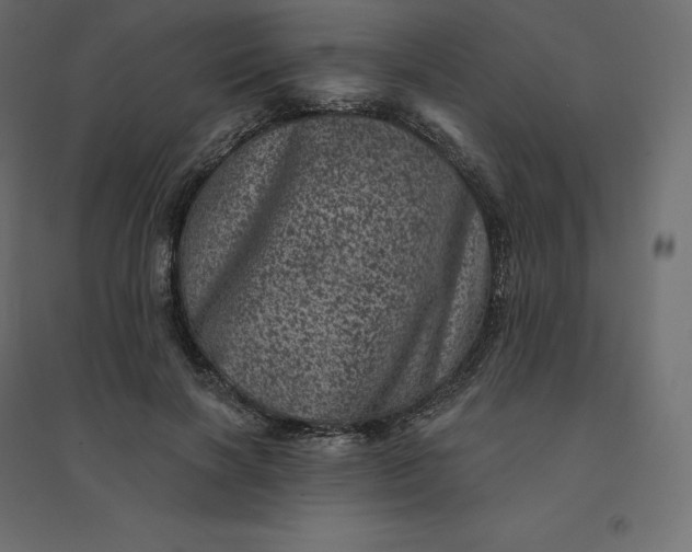 X0000094440646200711211457