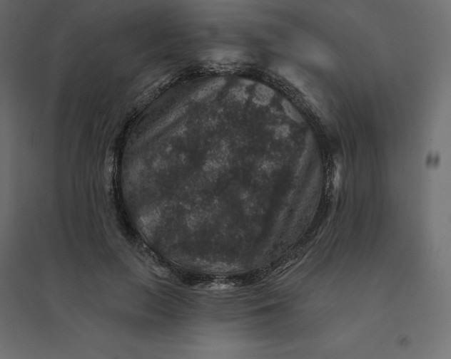 X0000094440647200711211457