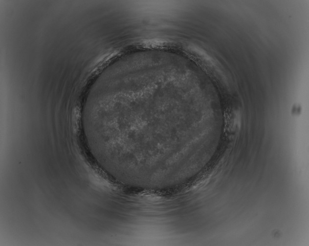 X0000094440648200711211457