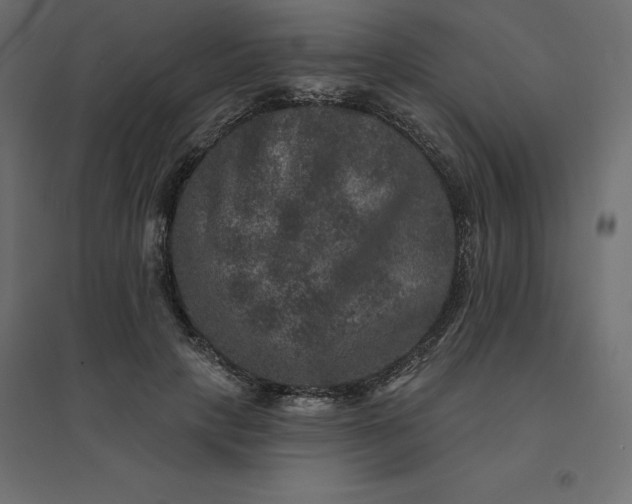 X0000094440649200711211457