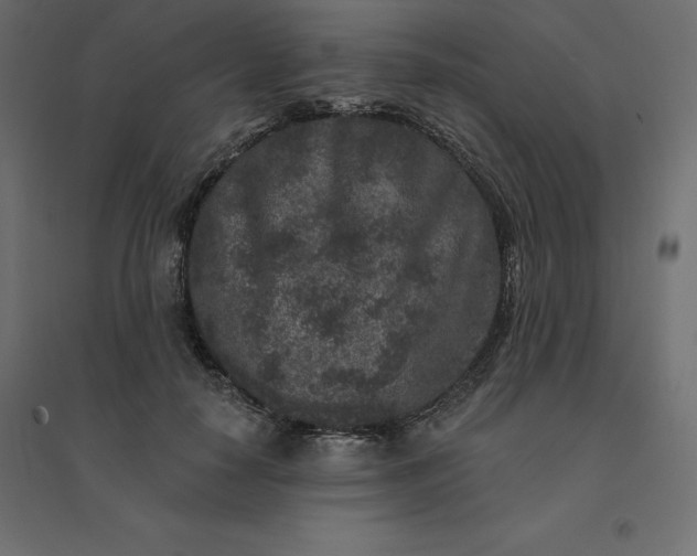 X0000094440650200711211457