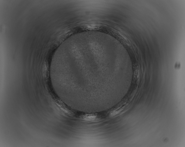 X0000094440651200711211457