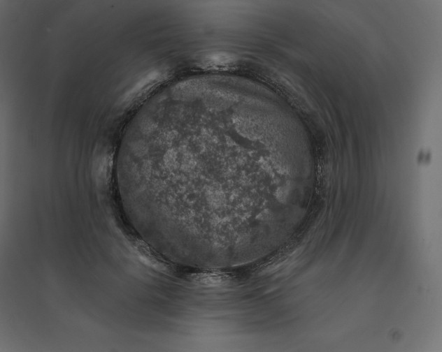 X0000094440652200711211457