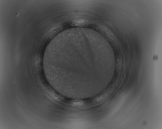 X0000094440653200711211457