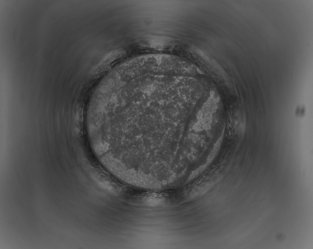 X0000094440656200711211457