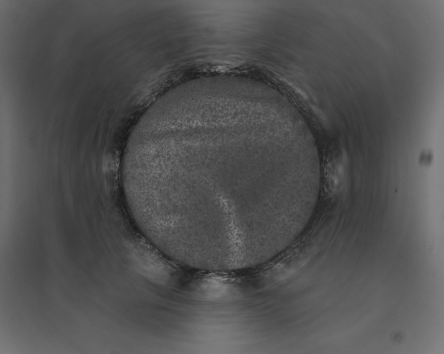 X0000094440657200711211457