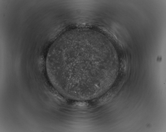 X0000094440659200711211457