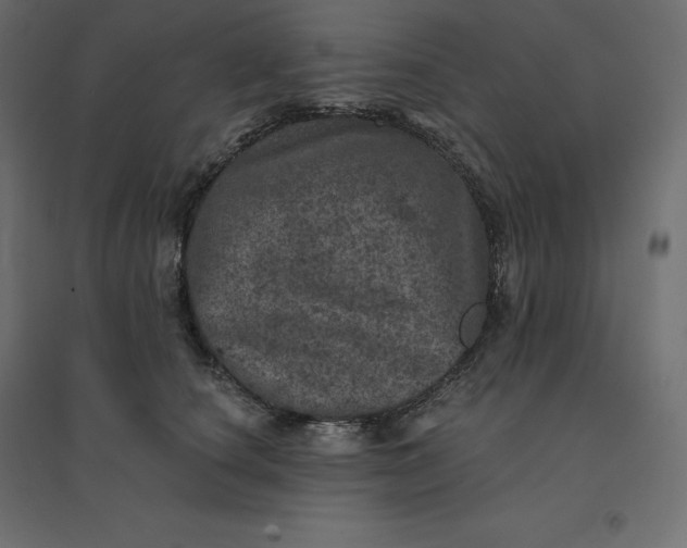 X0000094440660200711211457