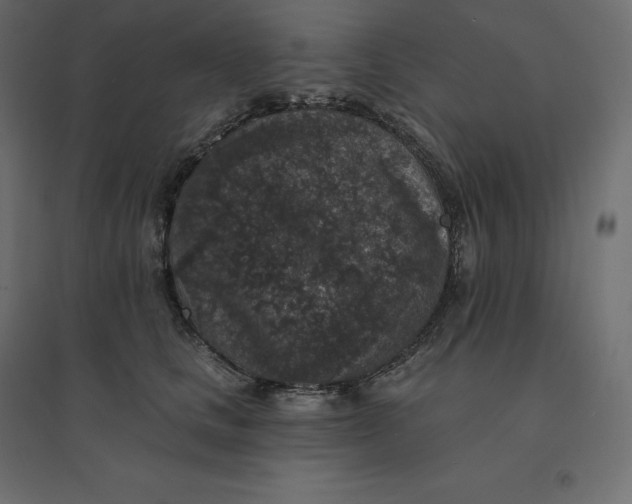 X0000094440661200711211457